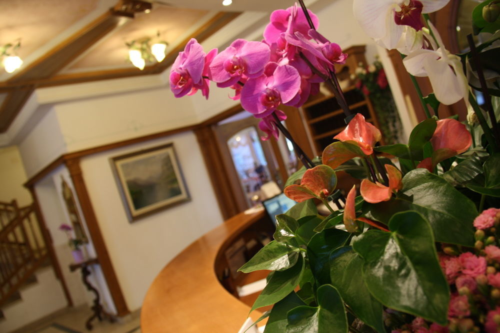 Ariston Lake View Hotel Мольвено Экстерьер фото